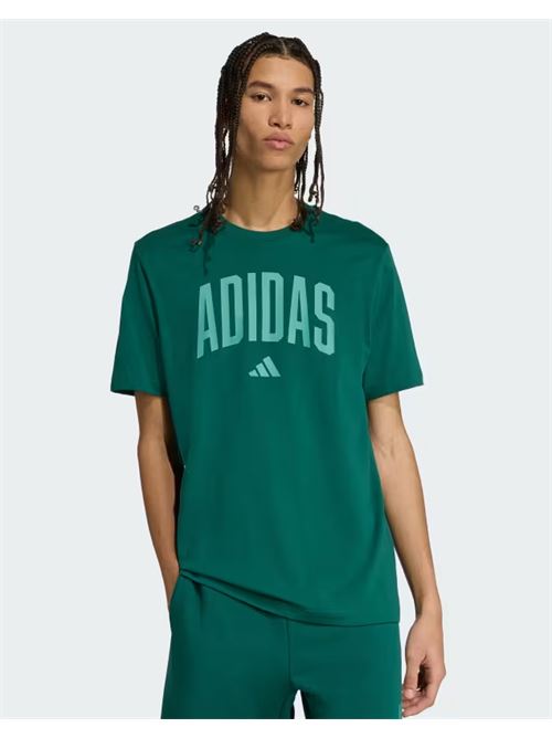 m collegiate t ADIDAS | KA7135C GREEN